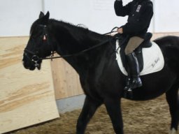 img_8337 640x480_web